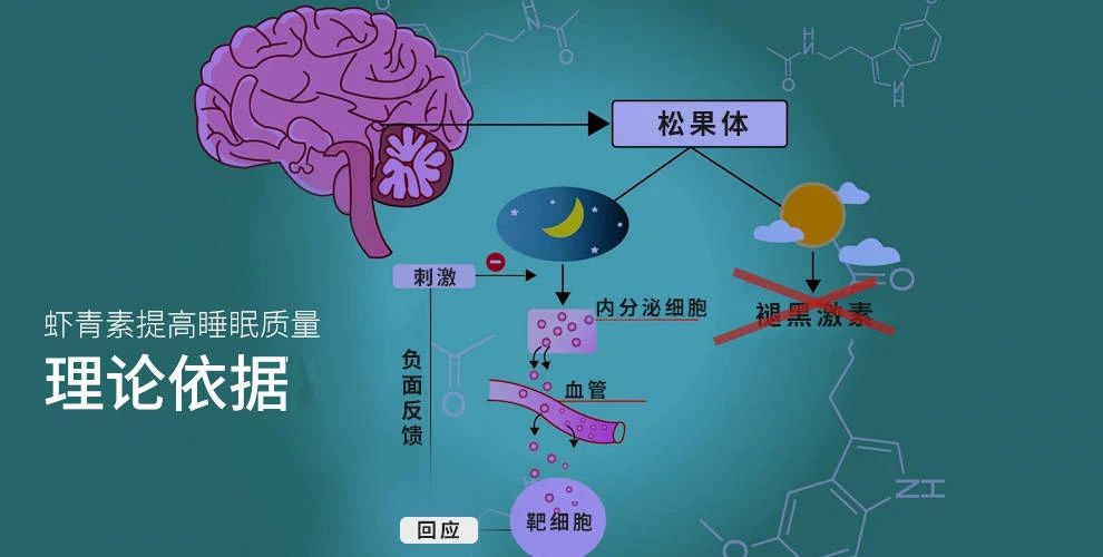 艾诗特虾青素