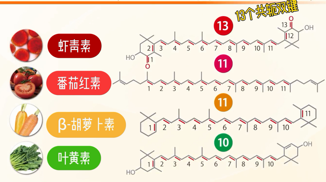 艾诗特虾青素