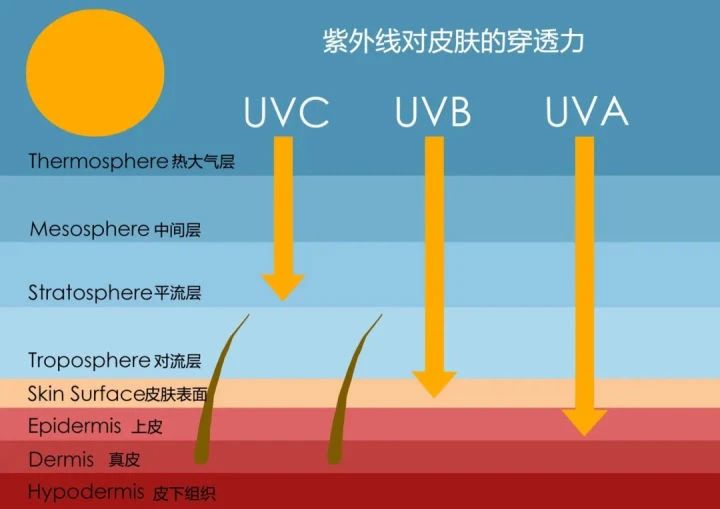 艾诗特虾青素