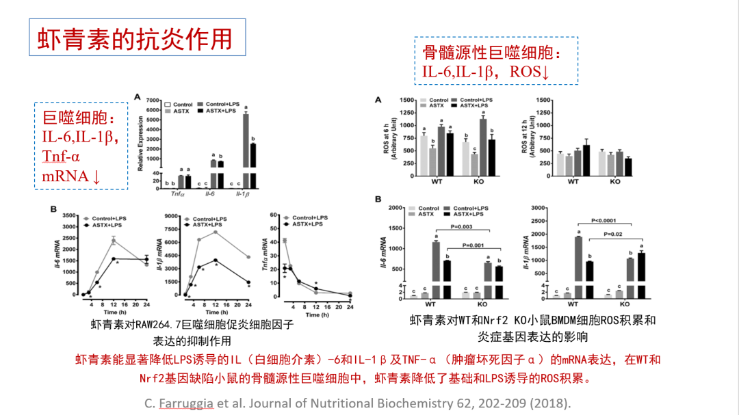 艾诗特虾青素