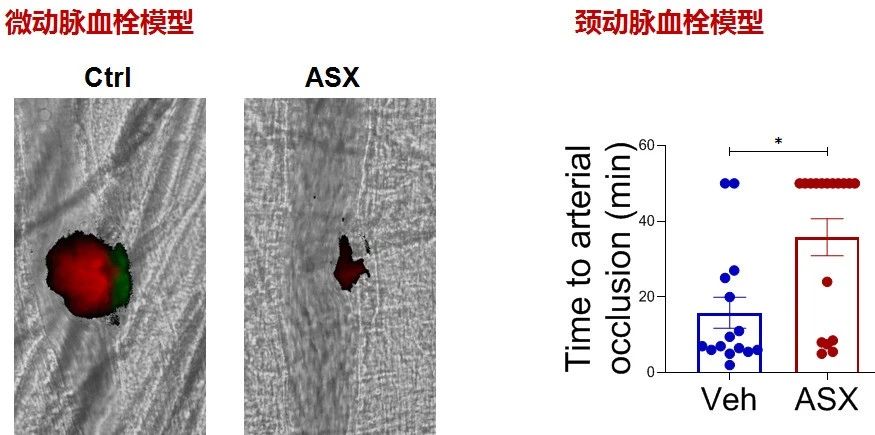 艾诗特虾青素