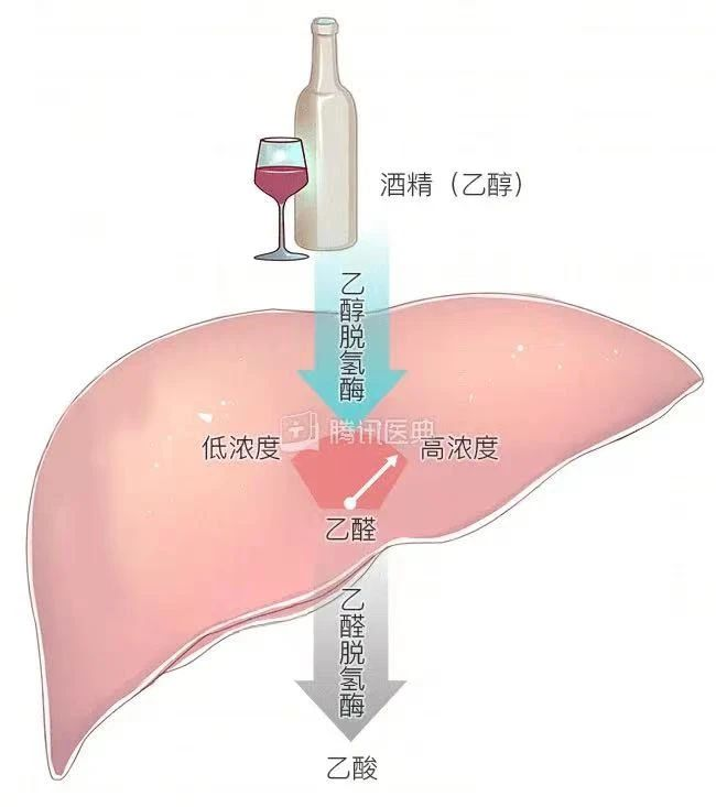 艾诗特虾青素