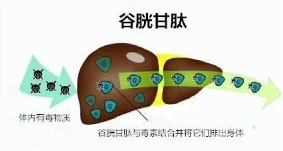 艾诗特虾青素