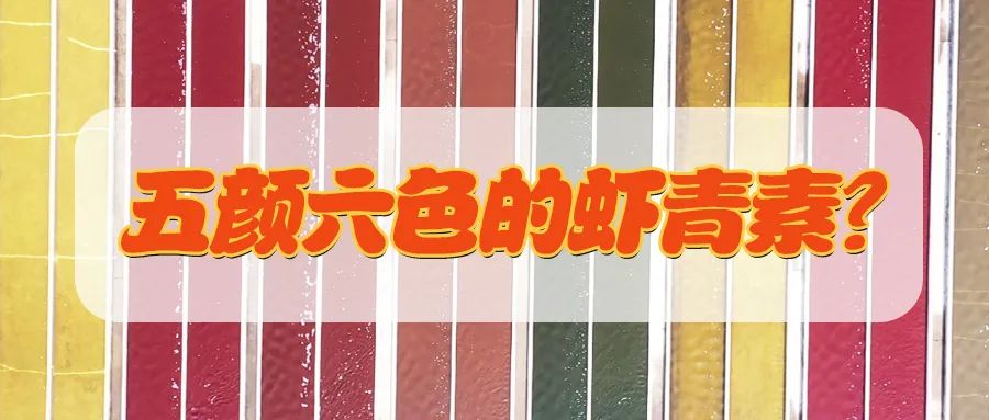 艾诗特虾青素