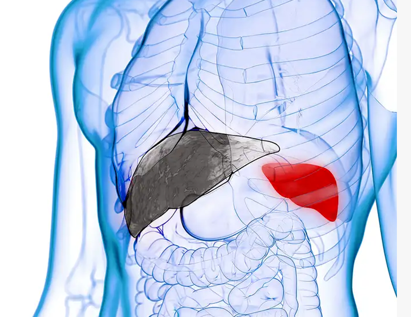 艾诗特虾青素 艾诗特虾青素
