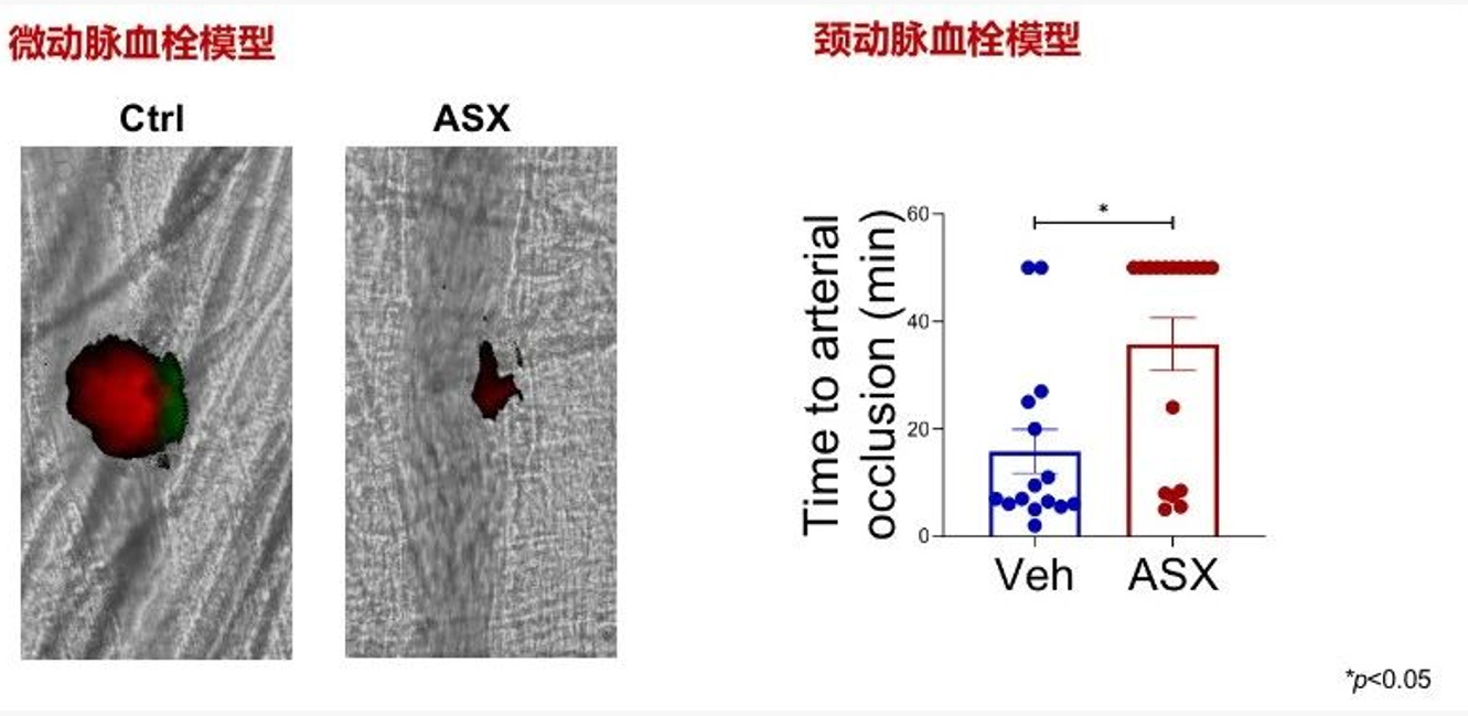 艾诗特虾青素 艾诗特虾青素