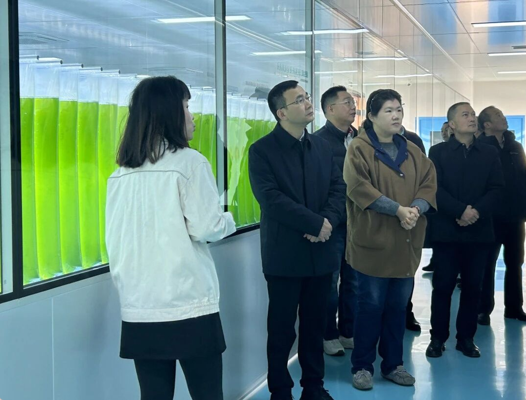 艾诗特虾青素 艾诗特虾青素