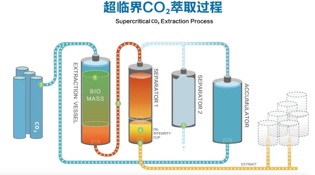 艾诗特虾青素 艾诗特虾青素