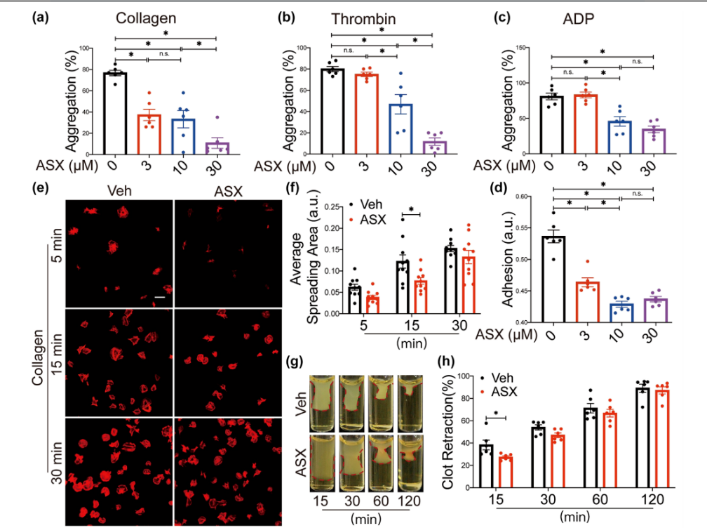 艾诗特虾青素 艾诗特虾青素
