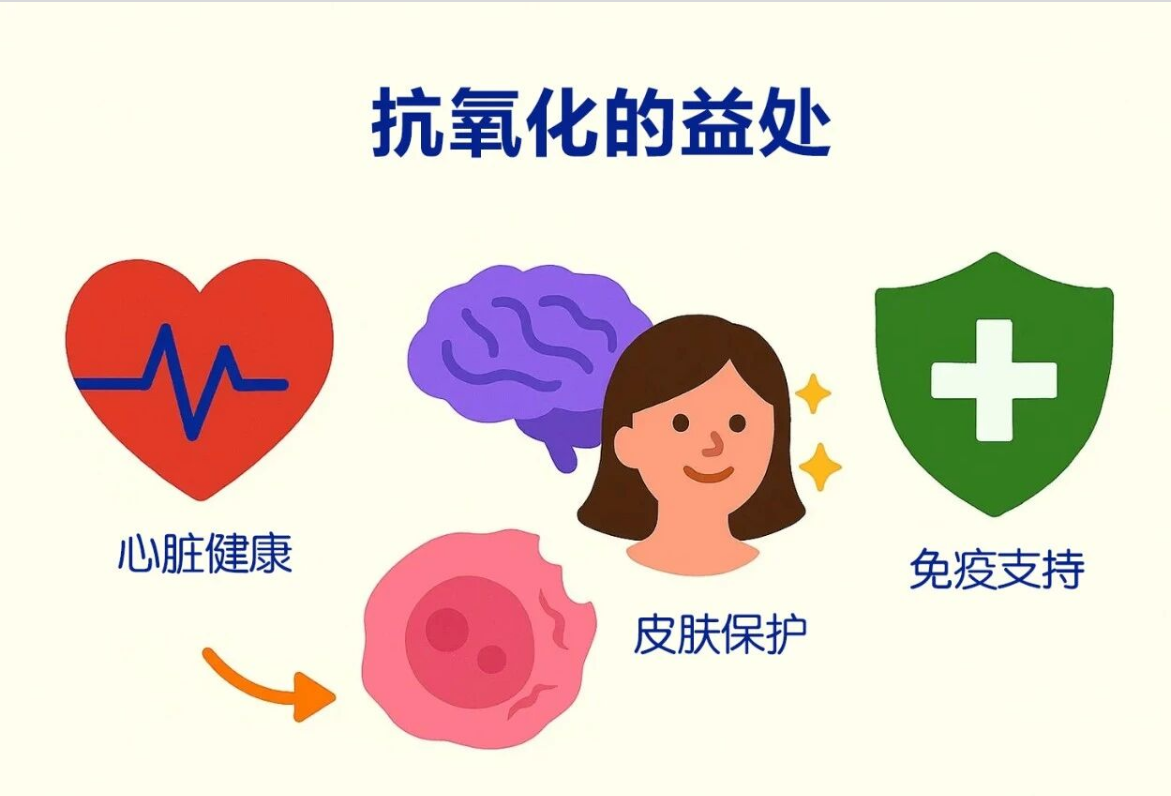 艾诗特虾青素