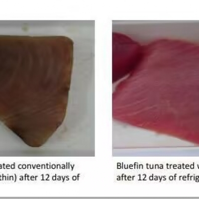 湖北农科院：虾青素对肉类抗氧化研究