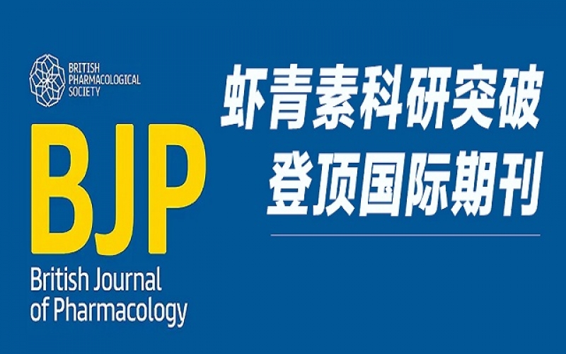 重磅！天然虾青素研究成果登顶 Wiley 国际药理学期刊，揭示双重抗血栓新机制！