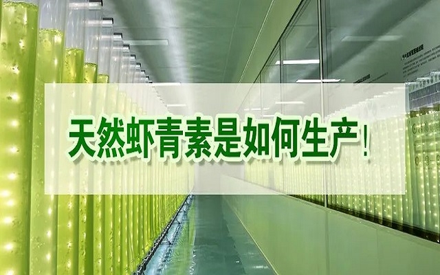 天然虾青素是如何生产？走进源头工厂看一看！