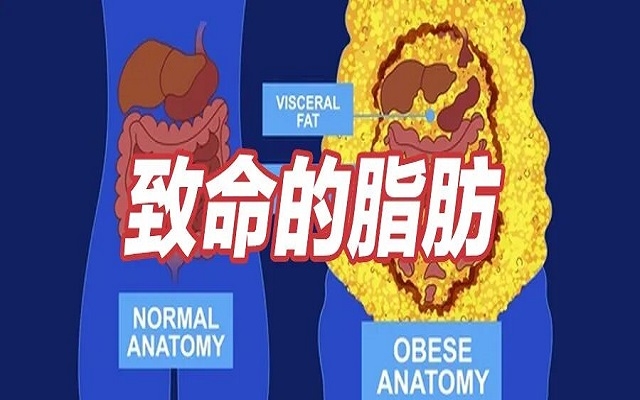 这种致命的脂肪，你可能正在疯狂囤积！1分钟自测!